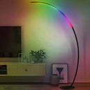 Arched Floor Lamp for Living Room